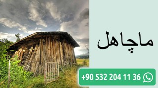 ماچاهل