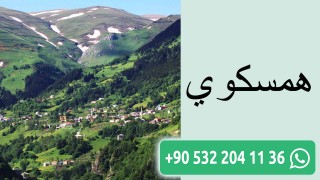 همسكوي