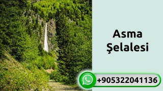 Asma şelalesi