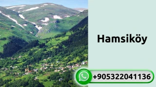 Hamsiköy