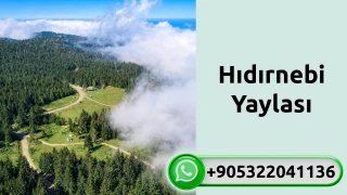 Hıdırnebi Yaylası