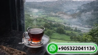 Misafirleri çok hoş karşılıyor ve onları ağırlıyor