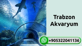 Trabzon Akvaryum
